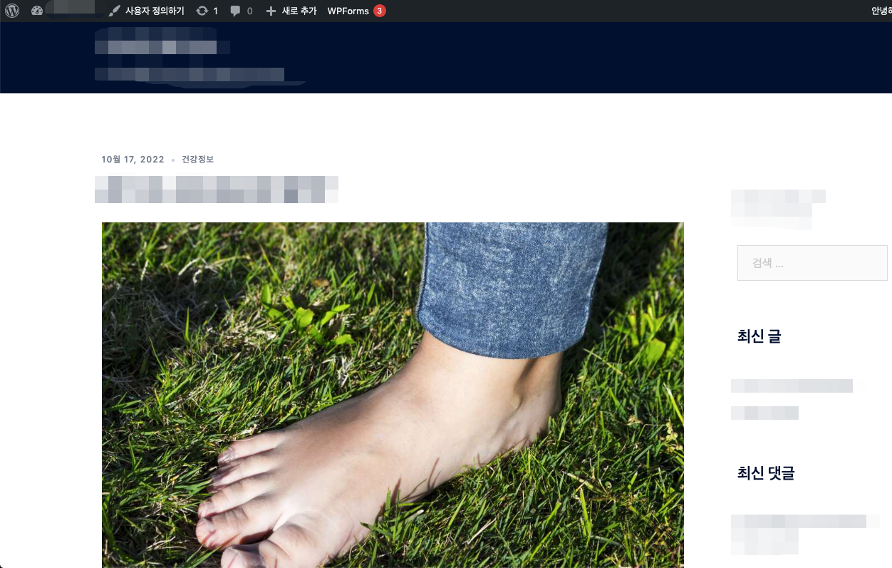 테마변경 후 내 페이지