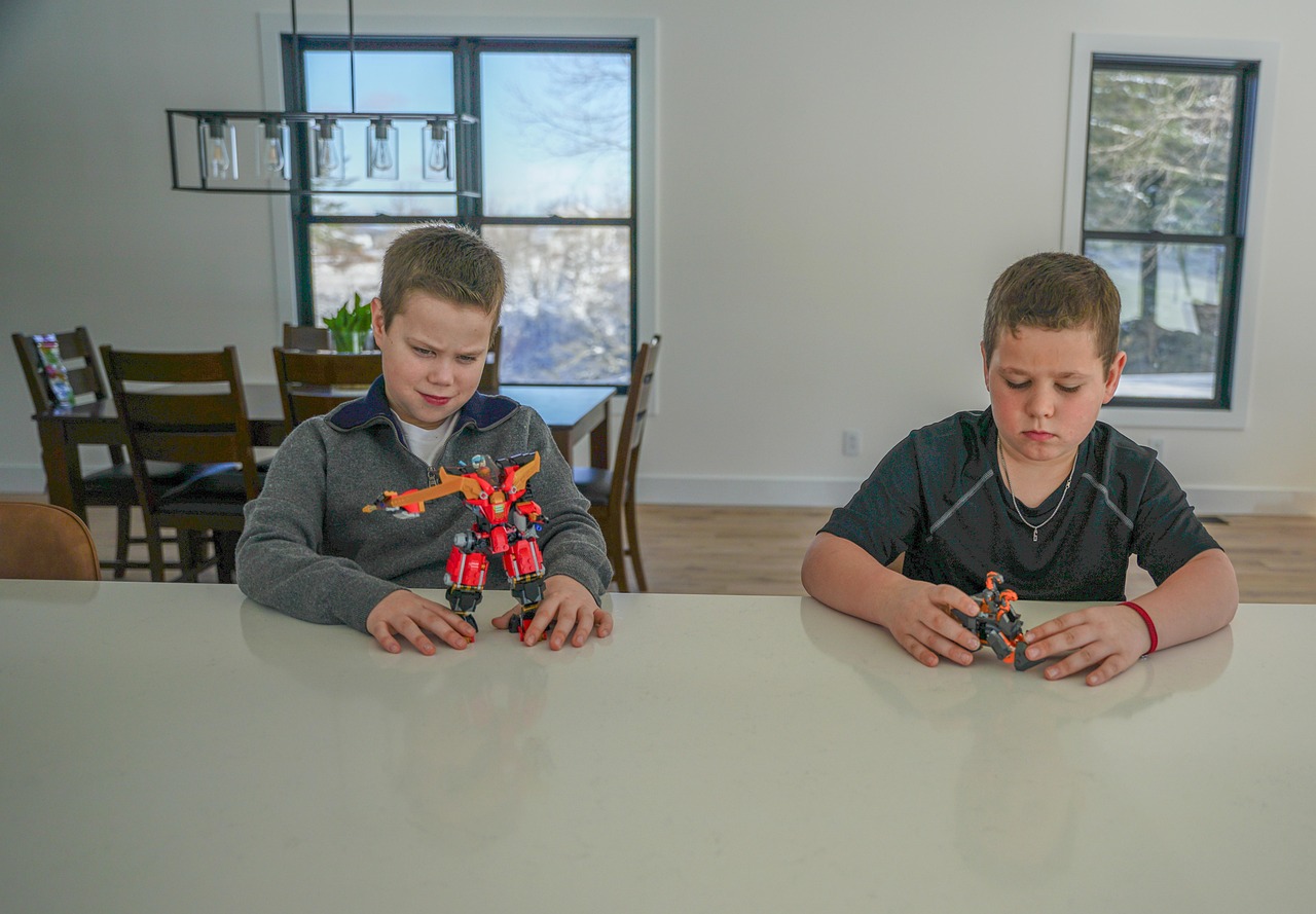 장난감을 만지고 있는 형제의 사진