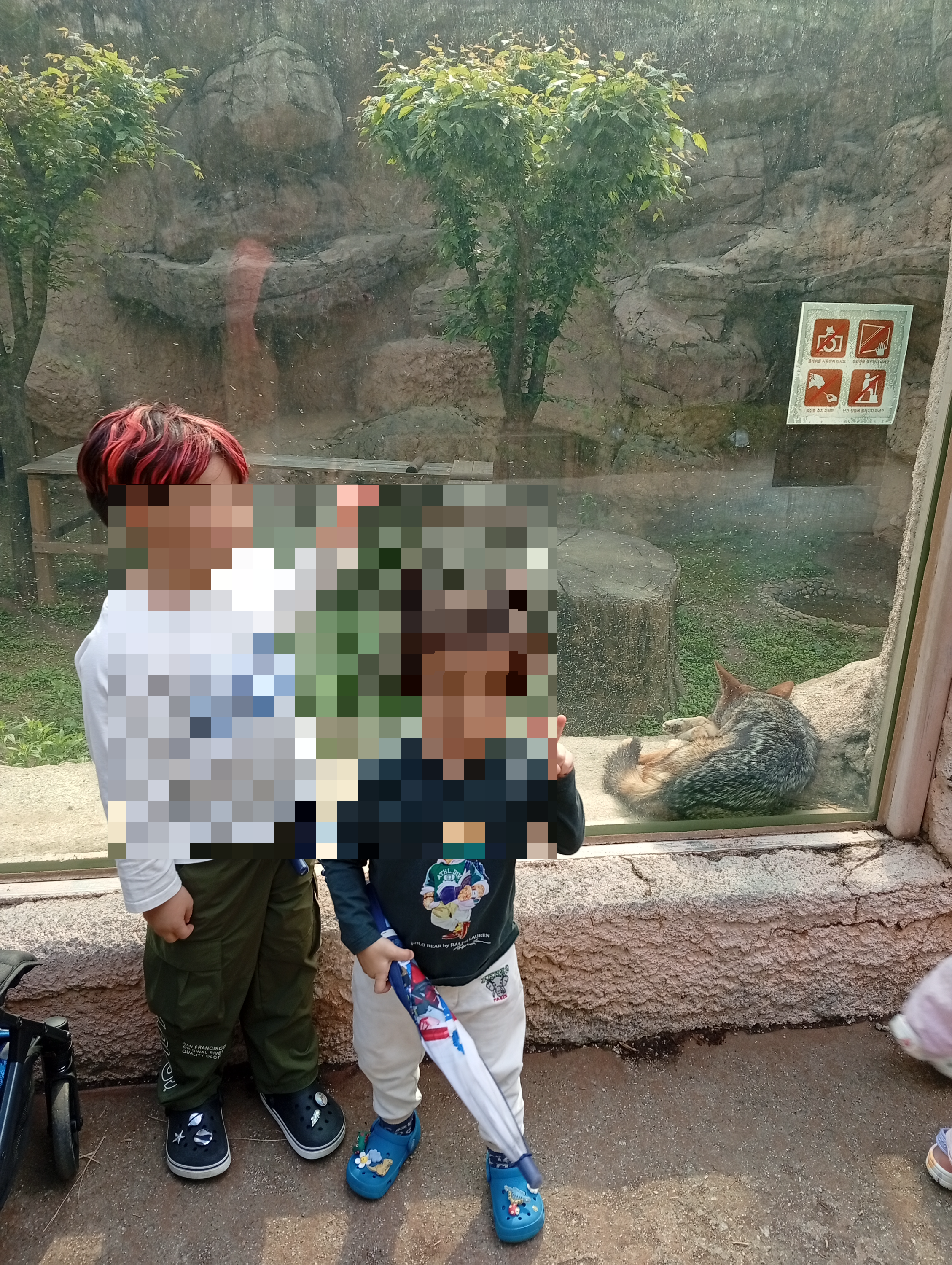 서울 어린이대공원 상상나라 추천! 가족 나들이, 다둥이카드 무료 입장