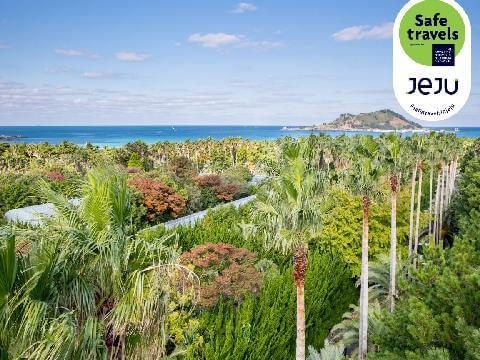 50대 부부가 함께 즐기는 여행 코스 추천 : 제주 서쪽
