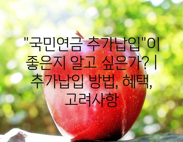 랜덤004