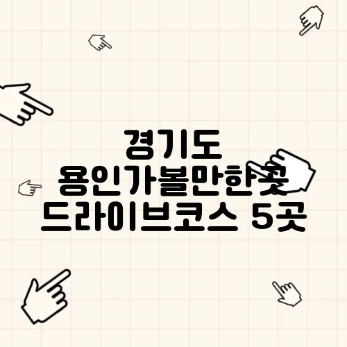 경기도 용인가볼만한곳 드라이브코스 5곳