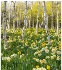 νλ΄μ² μμ½νκΈ°