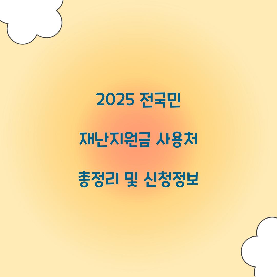 2025 전국민 재난지원금 사용처