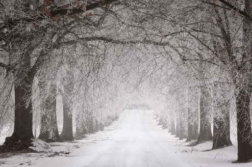 겨울 날씨 관련 사진