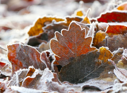 대구 동구 대성에너지 도시가스 고객센터 전화번호