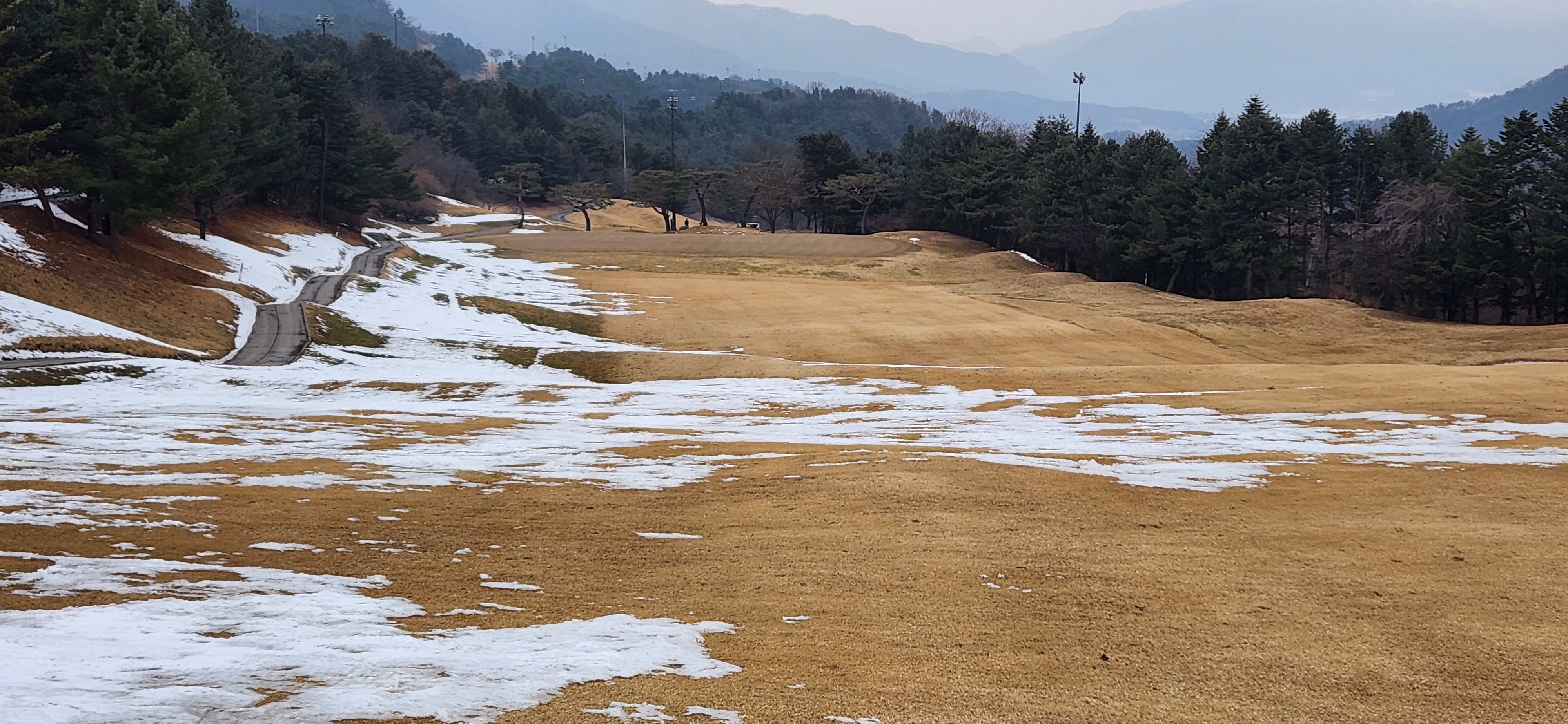 필로스cc