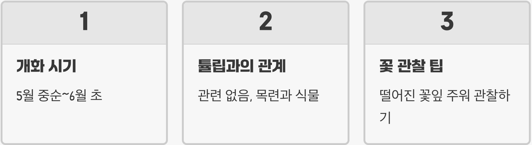 전국 튤립나무 꽃 명소 BEST 5 (가로수길, 공원, 수목원)