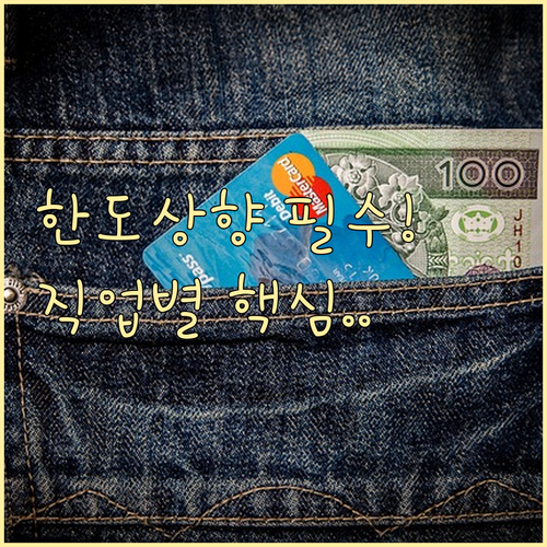 직업 및 목적별 신용카드 한도 상향 ..