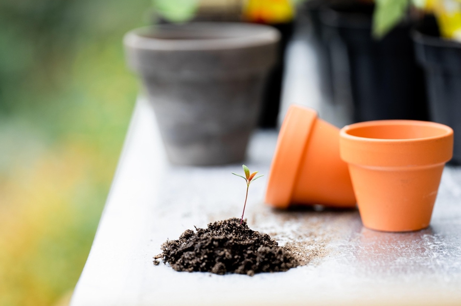 소일거리 - 가볍지만 의미 있는 일