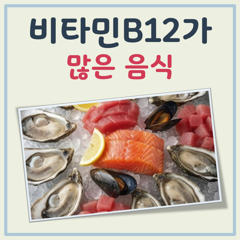 비타민B12가 많은 음식 대표 이미지