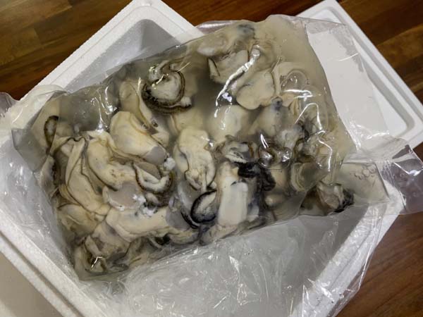 아이스박스안에 봉지굴 1kg