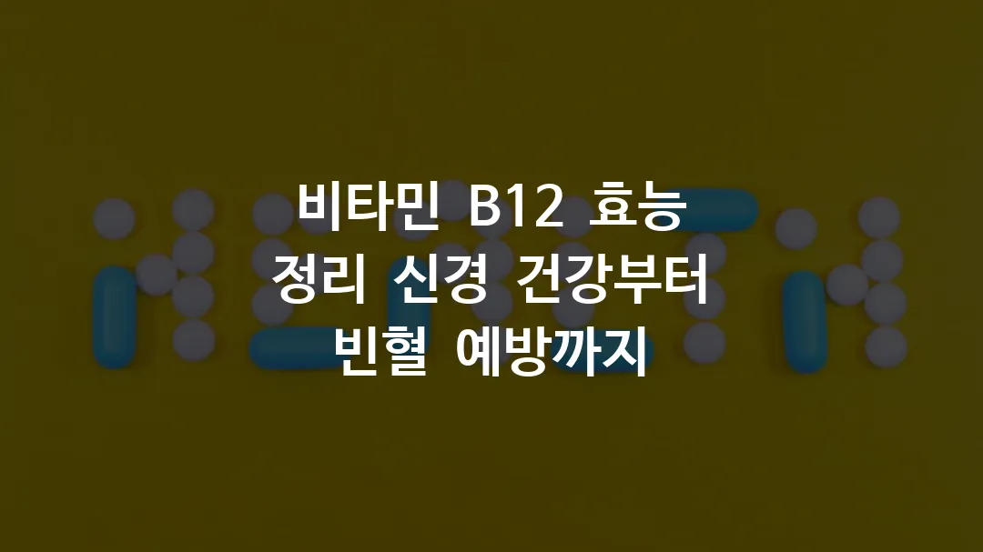 비타민 B12 효능 정리 신경 건강부터 빈혈 예방까지