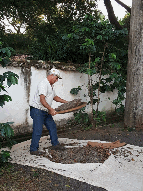 Fazenda_Tozan_37