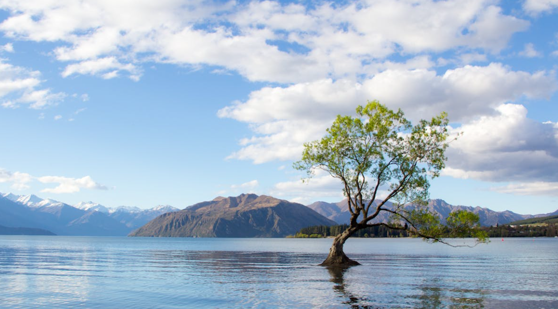 뉴질랜드 여행하기 좋은 계절