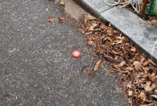 토지 측량 경계점 표시 방법