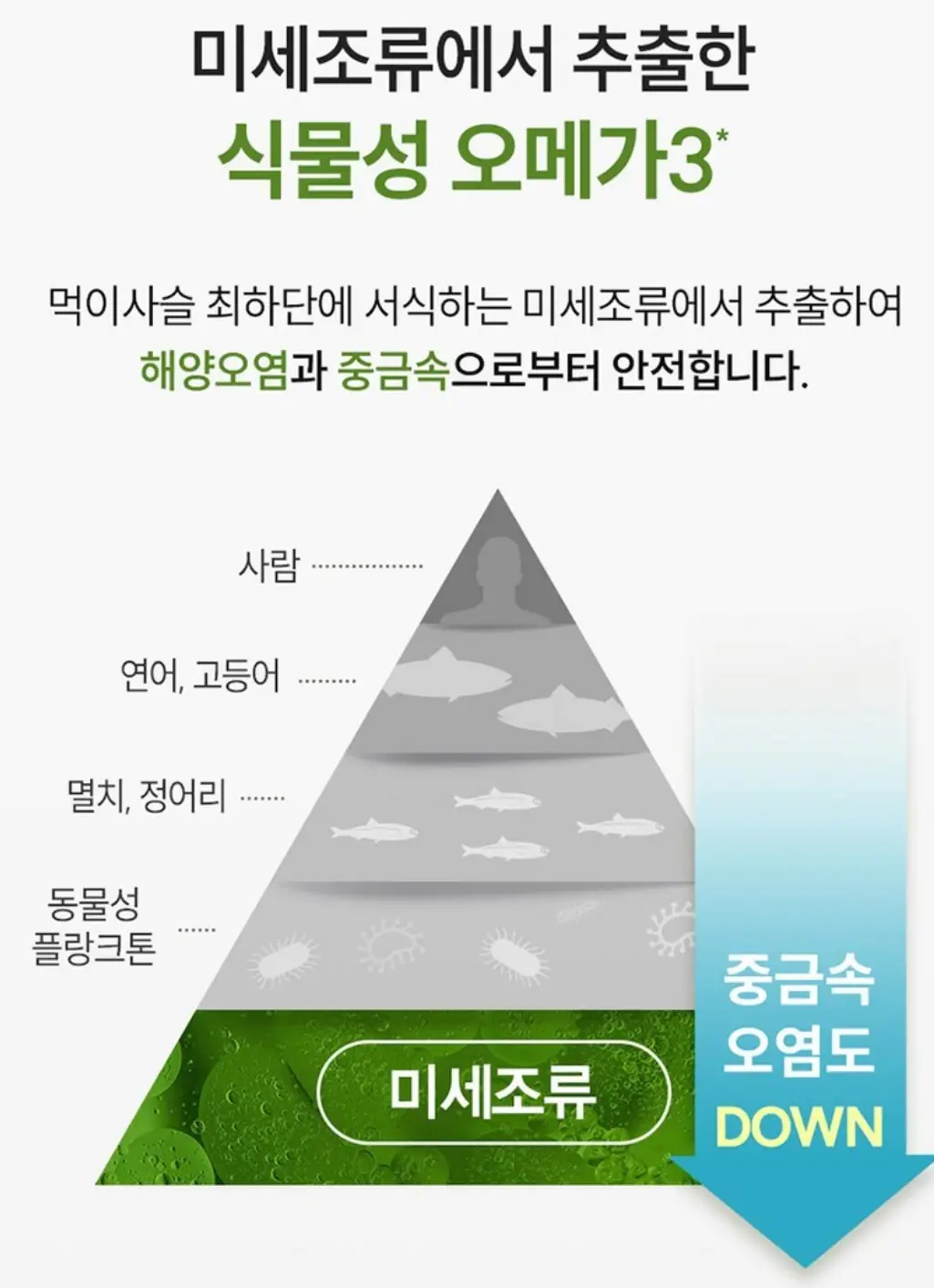 사진8