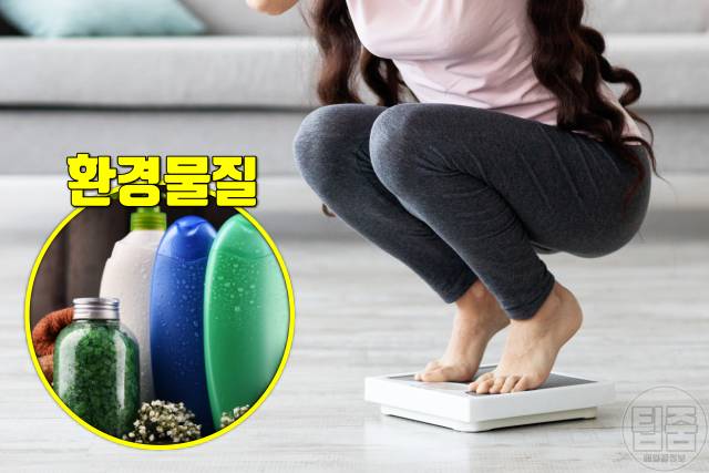몸속 독소 배출 몸독소증상 체중증가