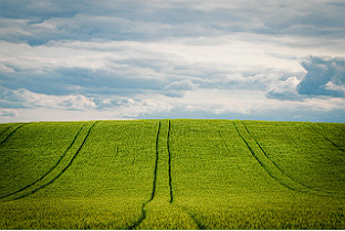 카무트 효소 내돈내산 후기