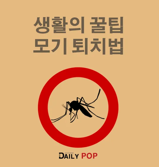 모기 박사님 추천 모기 퇴치법과 여름철 모기 없는 집 만들기 실전 전략_3