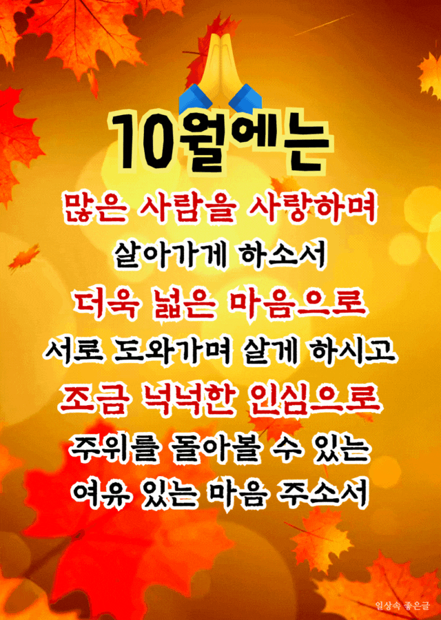 10월 기도문 모음 - 가을 단풍 배경의 10월 첫주 기도문, 가을 대표 기도글 이미지