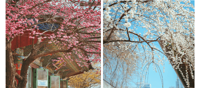 2.봉은사