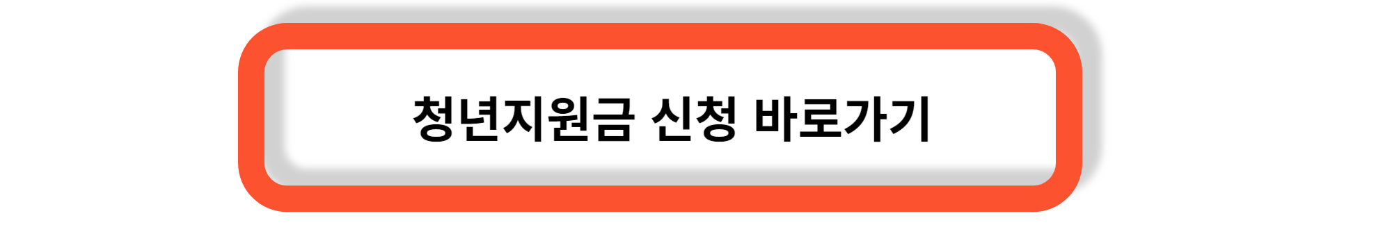 청년지원금- 대상과 종류