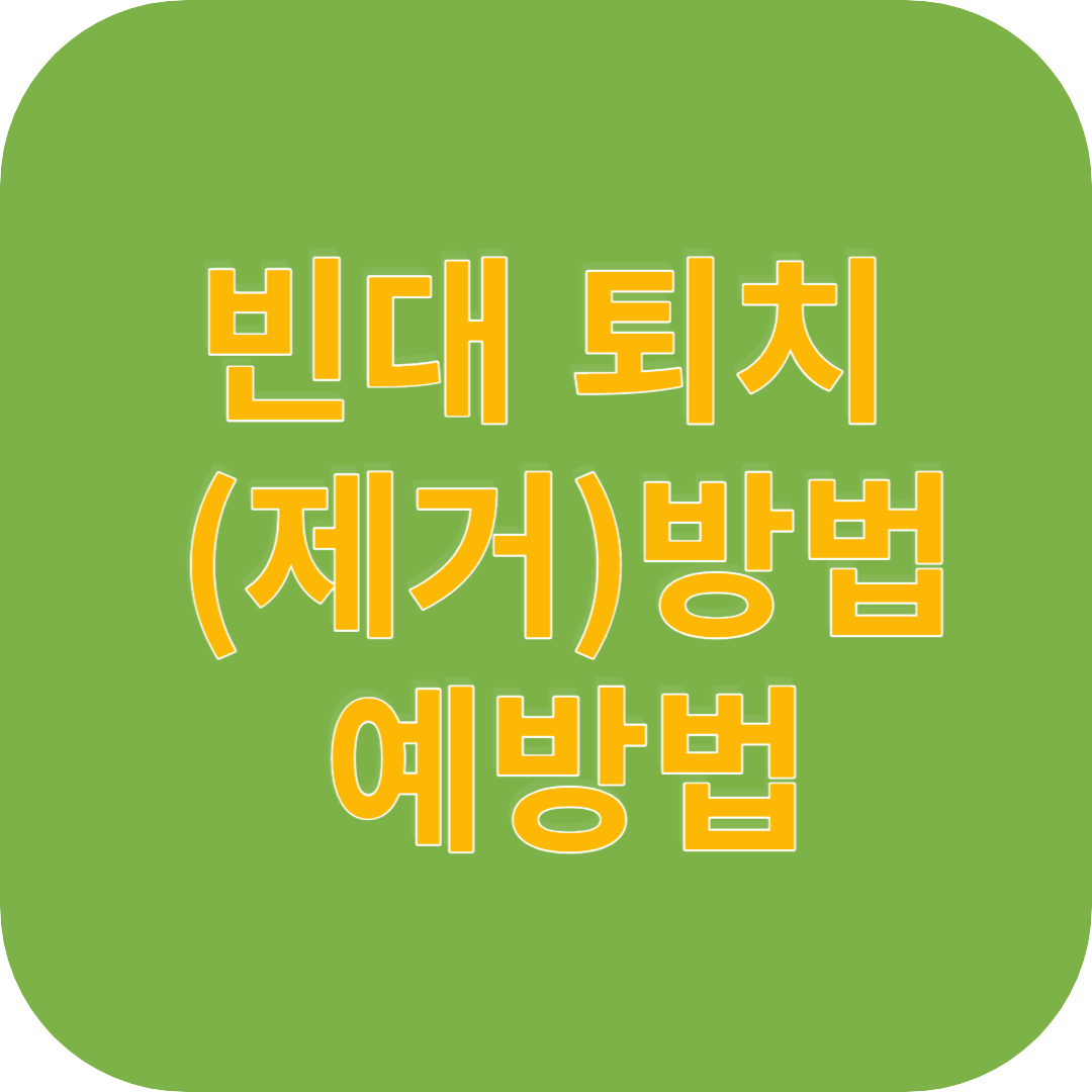 빈대 퇴치 제거방법 예방법 썸네일