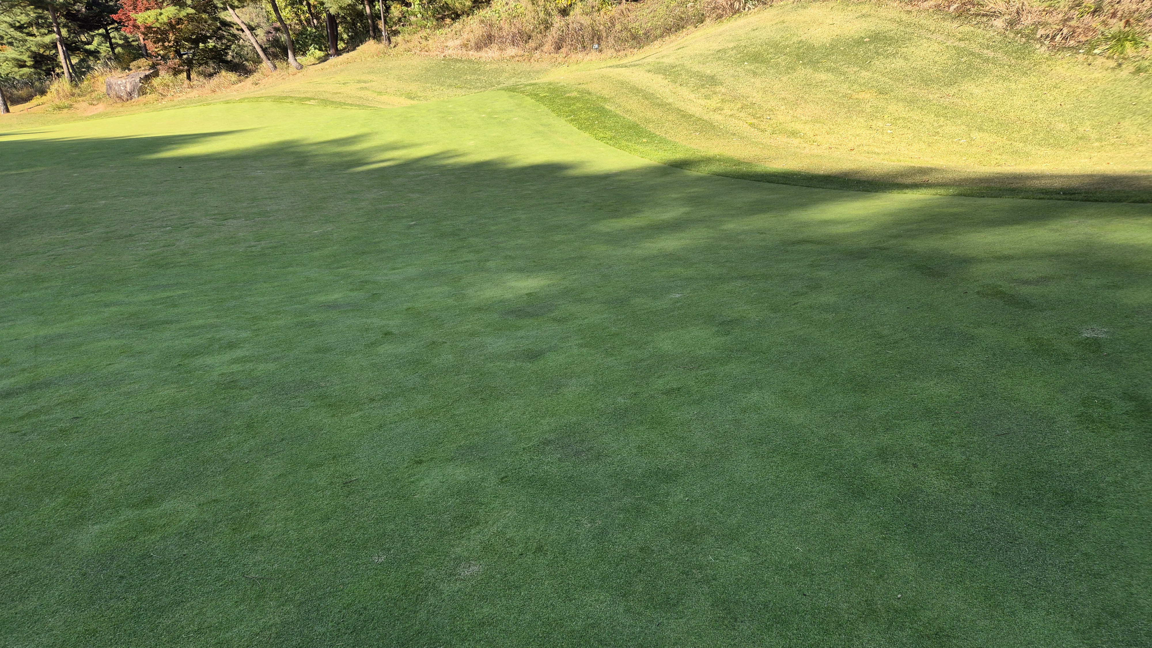 동촌gc 그린빠르기 및 난이도