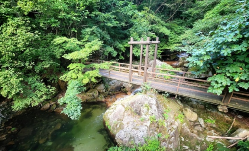 방태산자연휴양림(강원 인제)