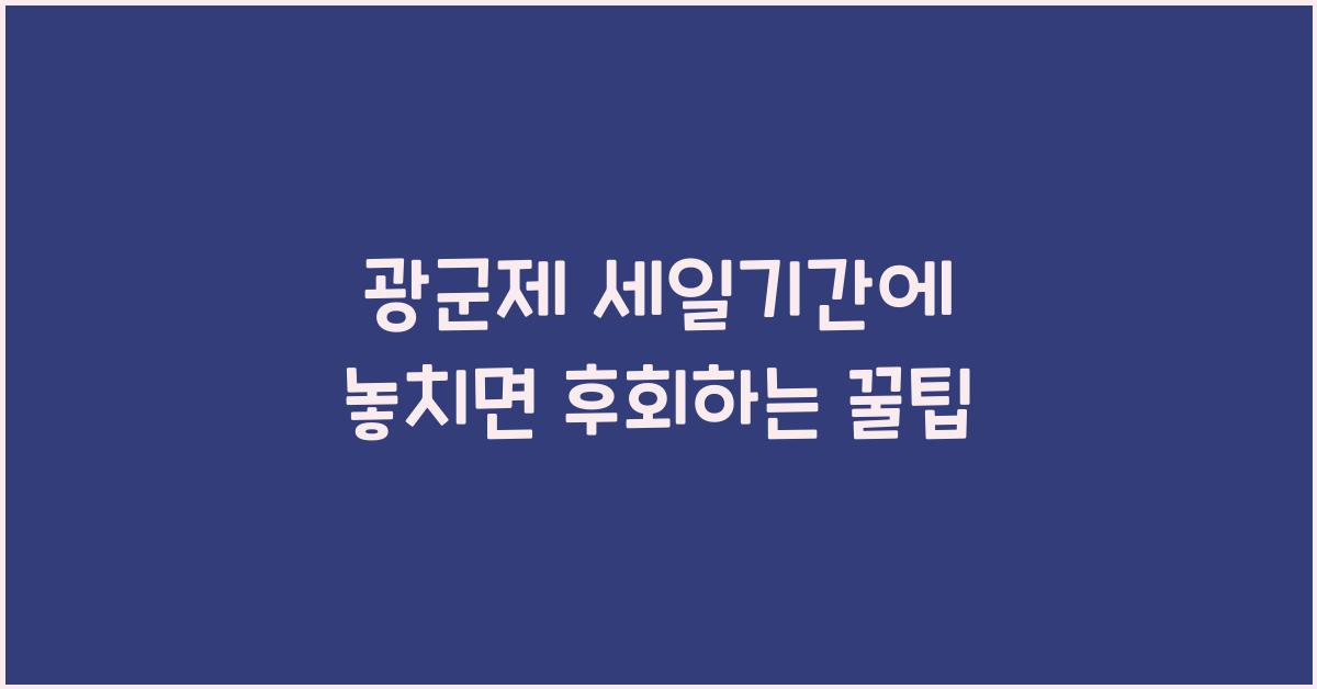 광군제 세일기간