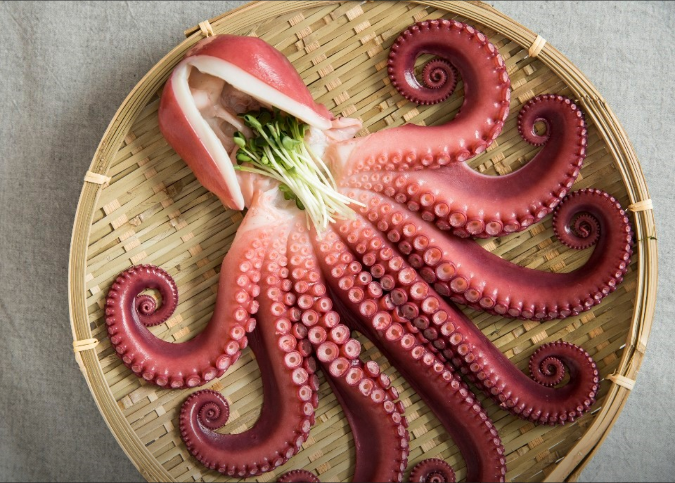 골뱅이신사 신사역맛집 자연산 생골뱅이탕으로 소문난 강남 해산물 명소