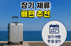 배편 추천