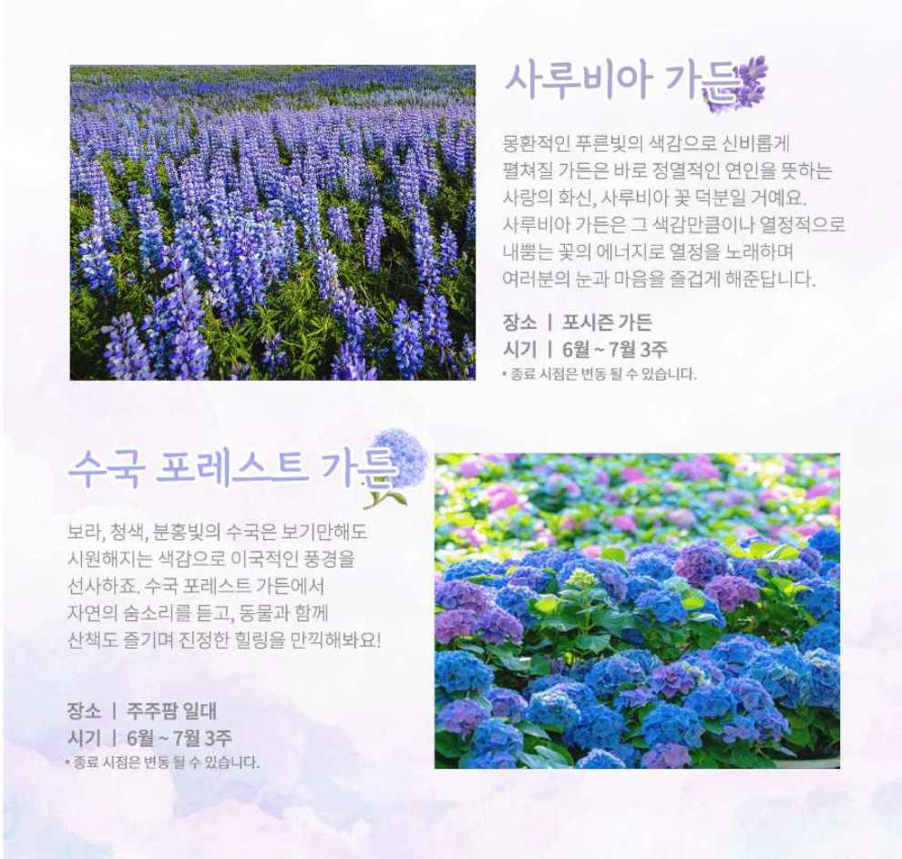 이월드 수국 포레스트 가든