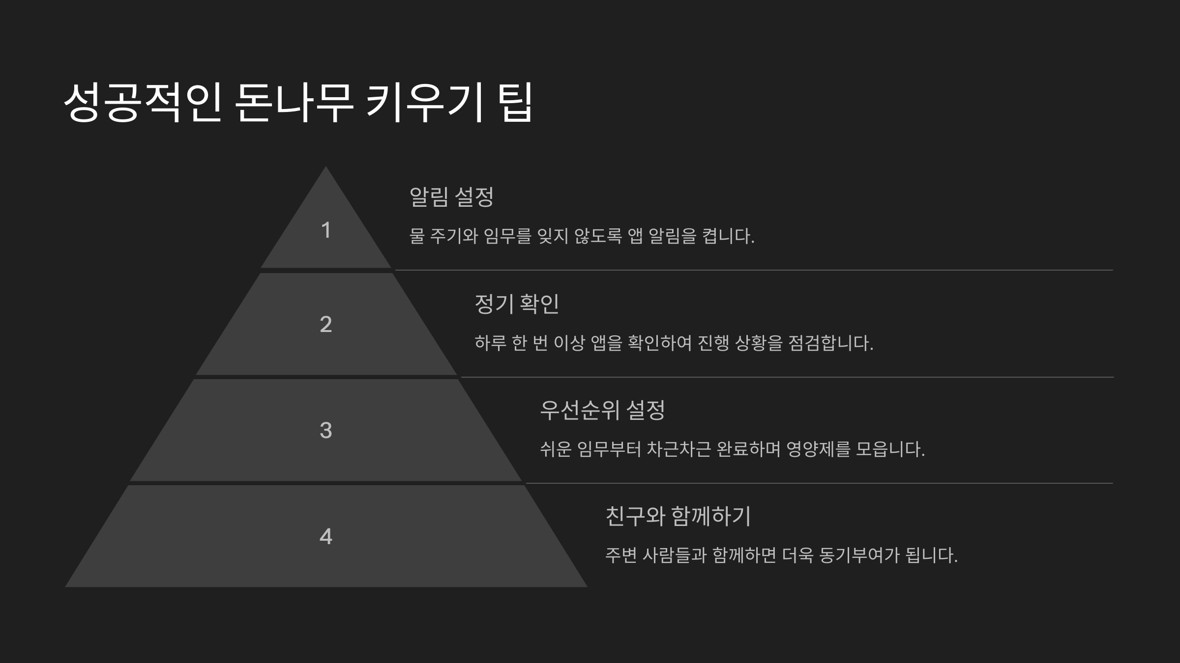 성공적인 돈나무 키우기 팁