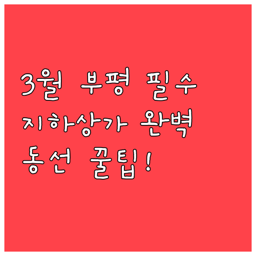인천 부평 3월 여행 필수 코스와 지..