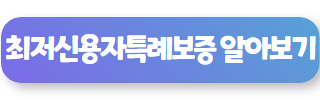 저신용자 정부 대출 05