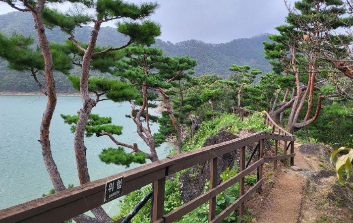 옥천/핫플레이스/대청호/천상의/정원/수생학습식물원