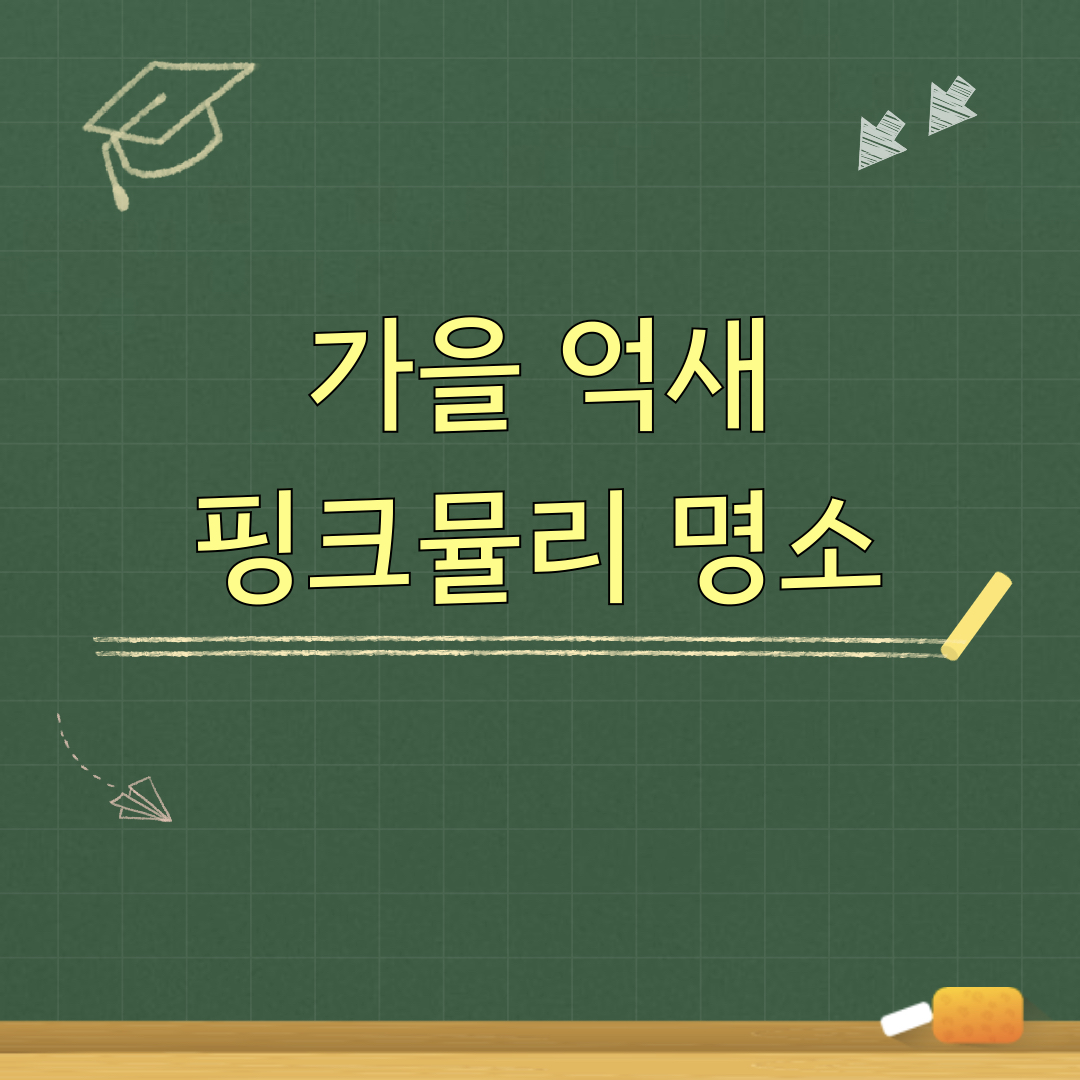 가을_억새_핑크뮬리_명소