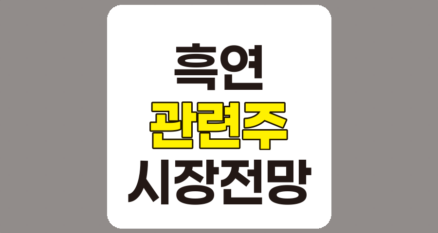 흑연 관련주 심층 분석, TOP 5 기업 및 흑연 시장 전망