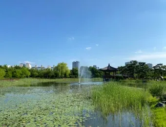 나는 빛나는 별처럼 느꼈습니다 한밭수목원 클레마티스 전시회 관람기_17