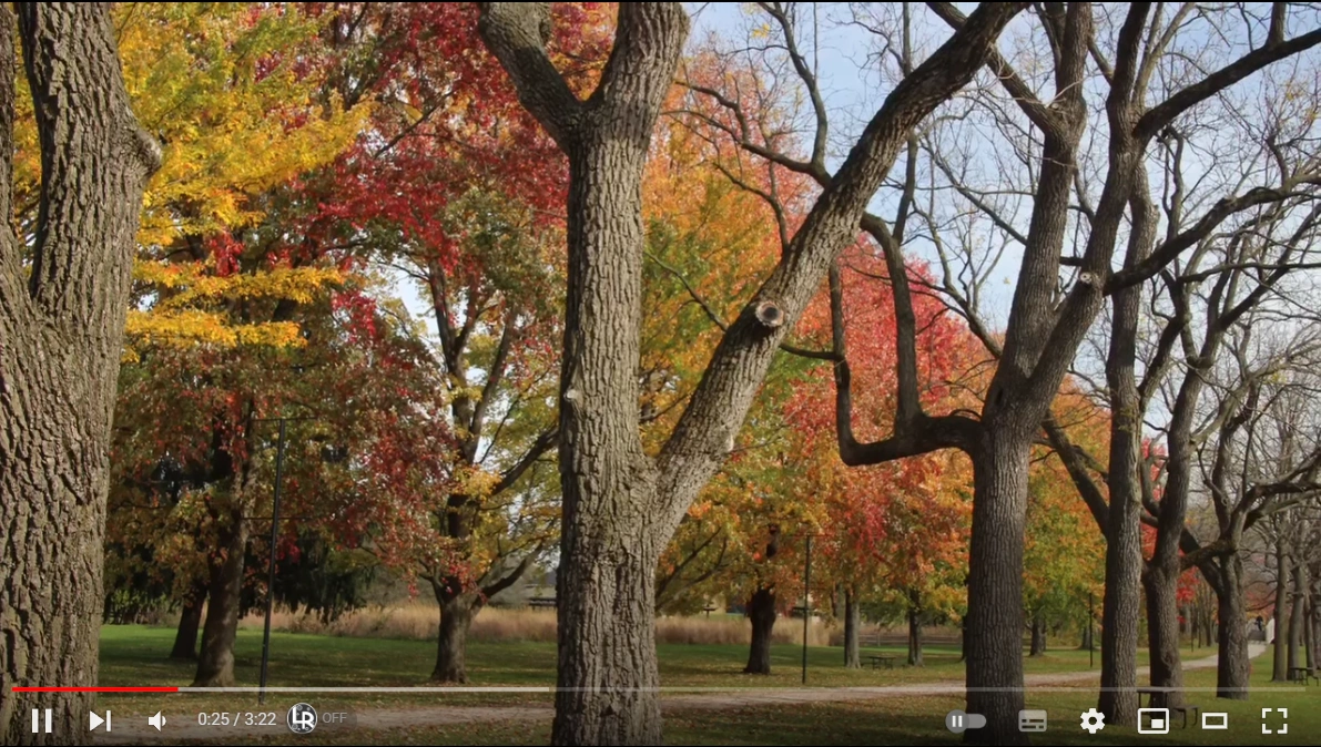 이동원 - 가을편지