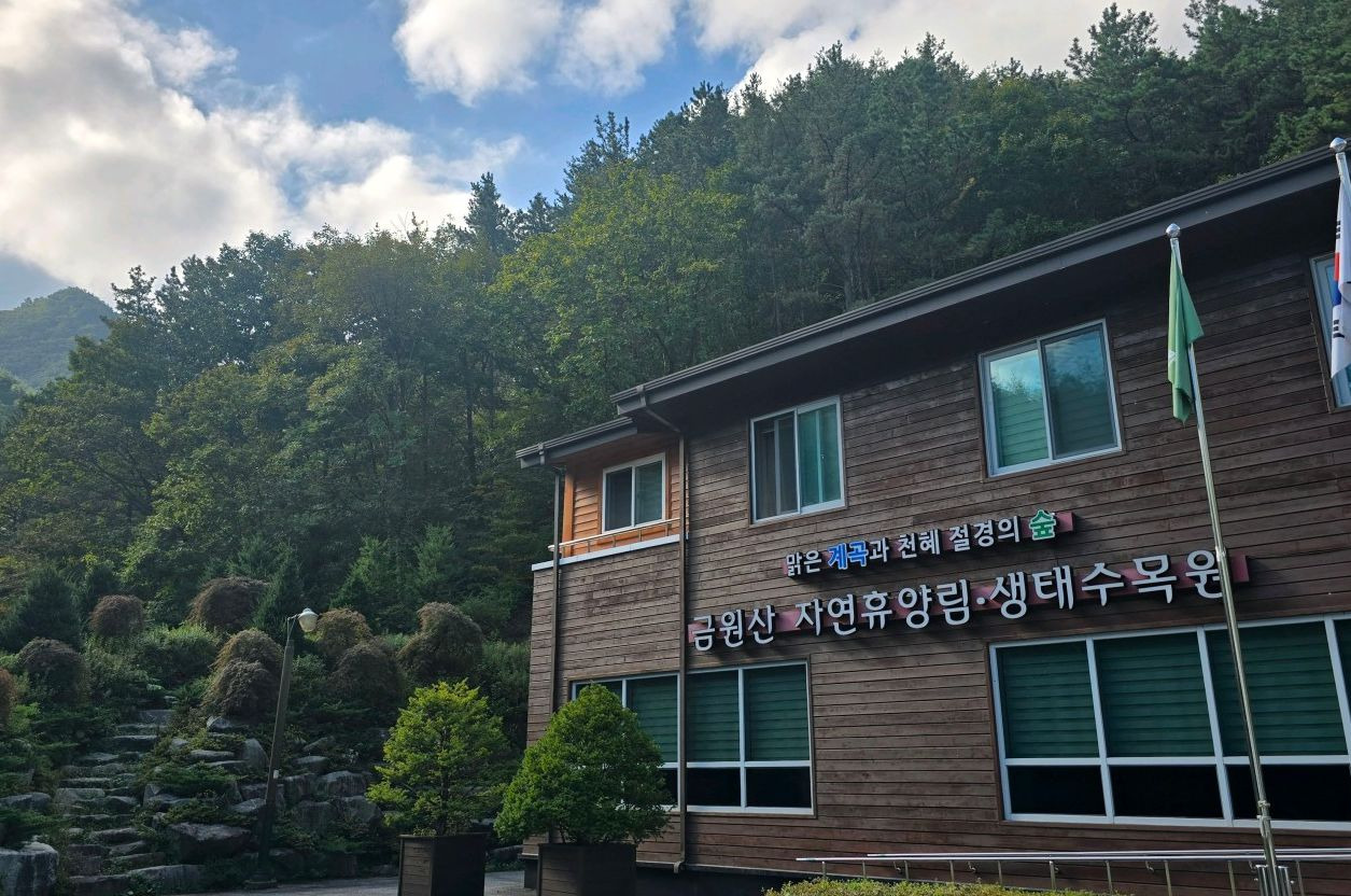 금원산자연휴양림