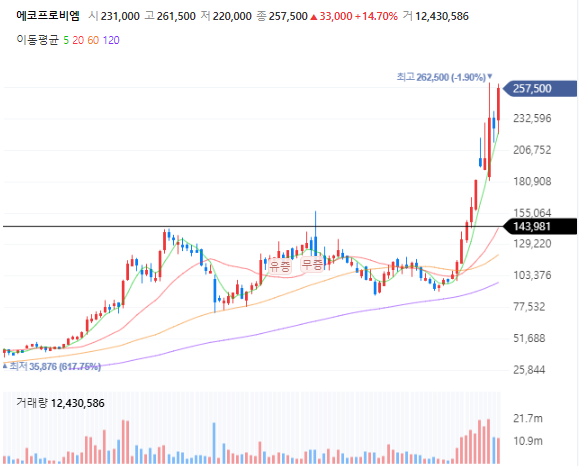 에코프로비엠 주봉차트