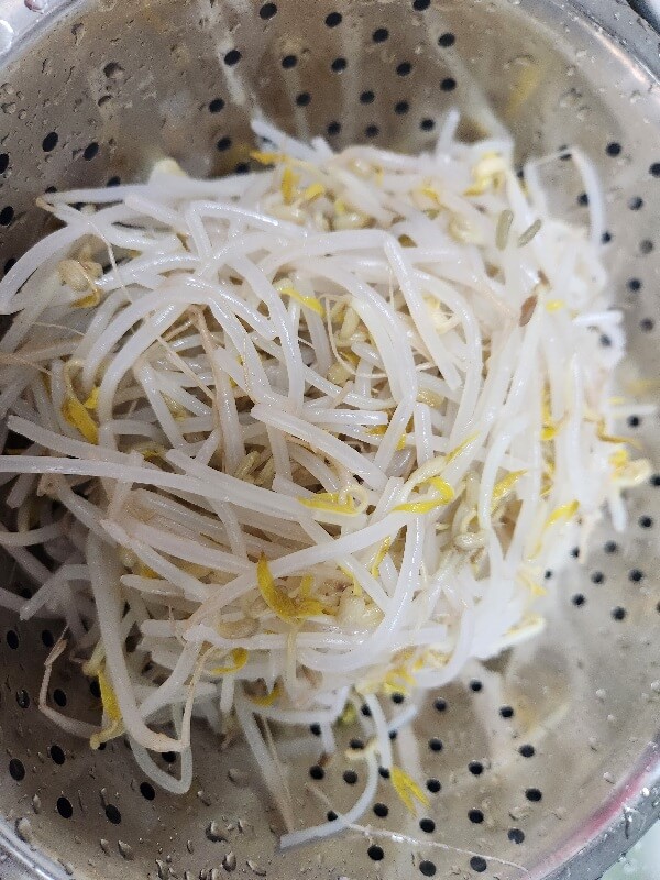 숙주 물빼기