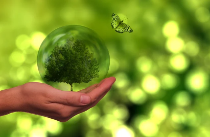 에너지 전환 관련 사진