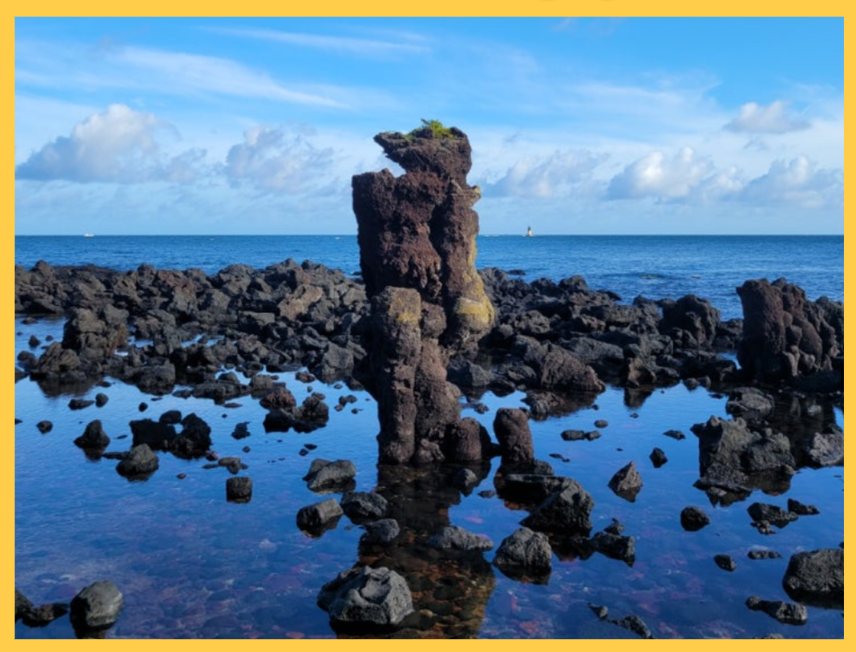 비양도_배시간표_인증샷명소