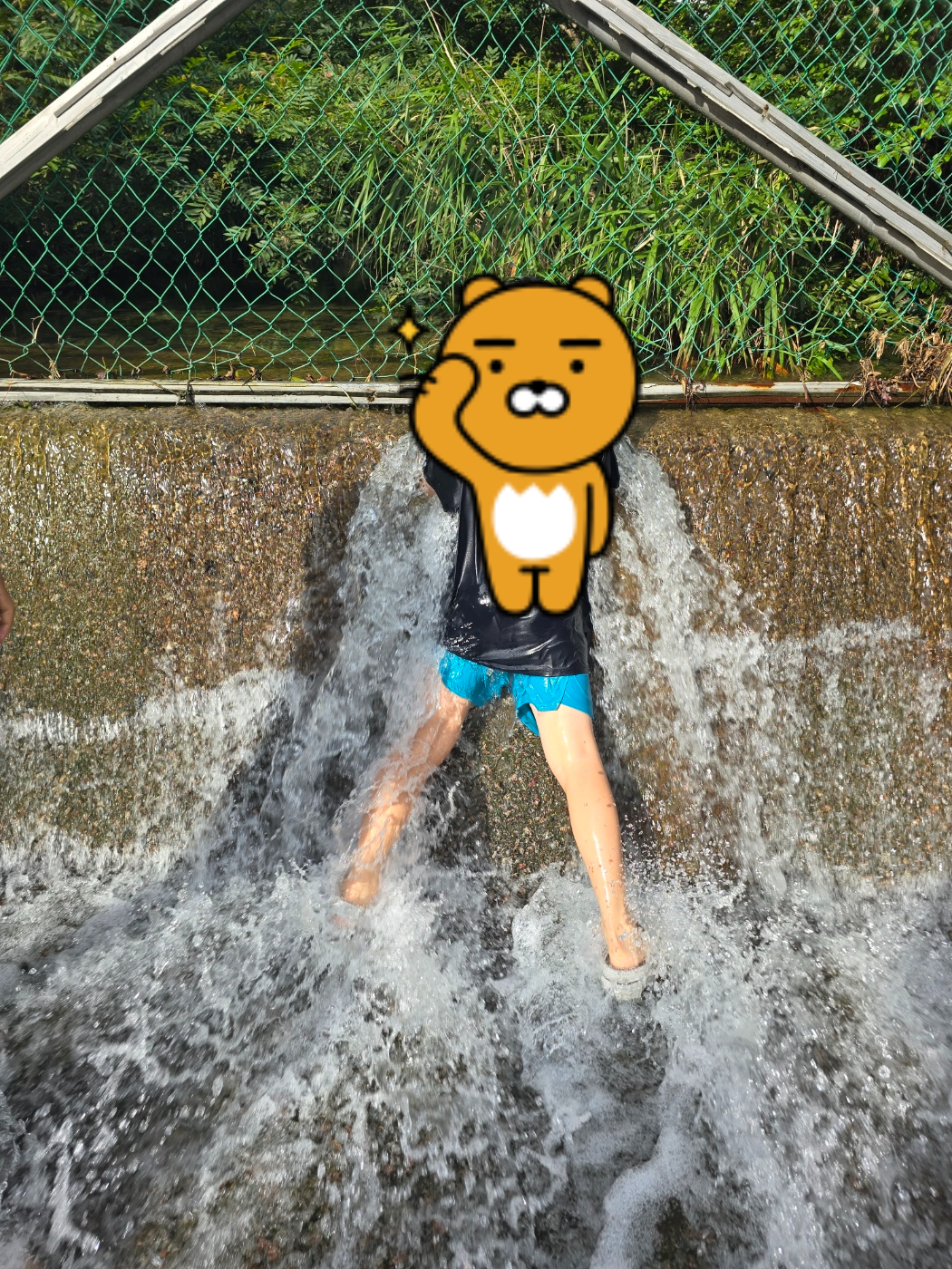 수목원에서 시원하게 쏟아지는 계곡물