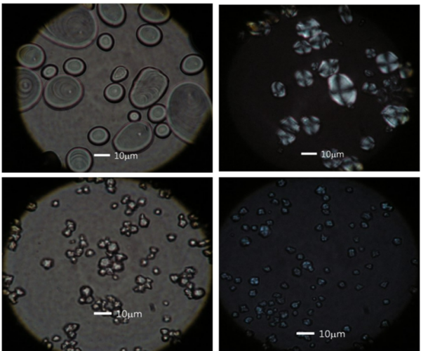 분산 방울이 포함된 유화액 구조