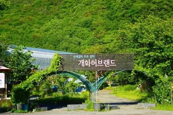 개화예술공원 입장료 보령 식당 가볼만한곳_14